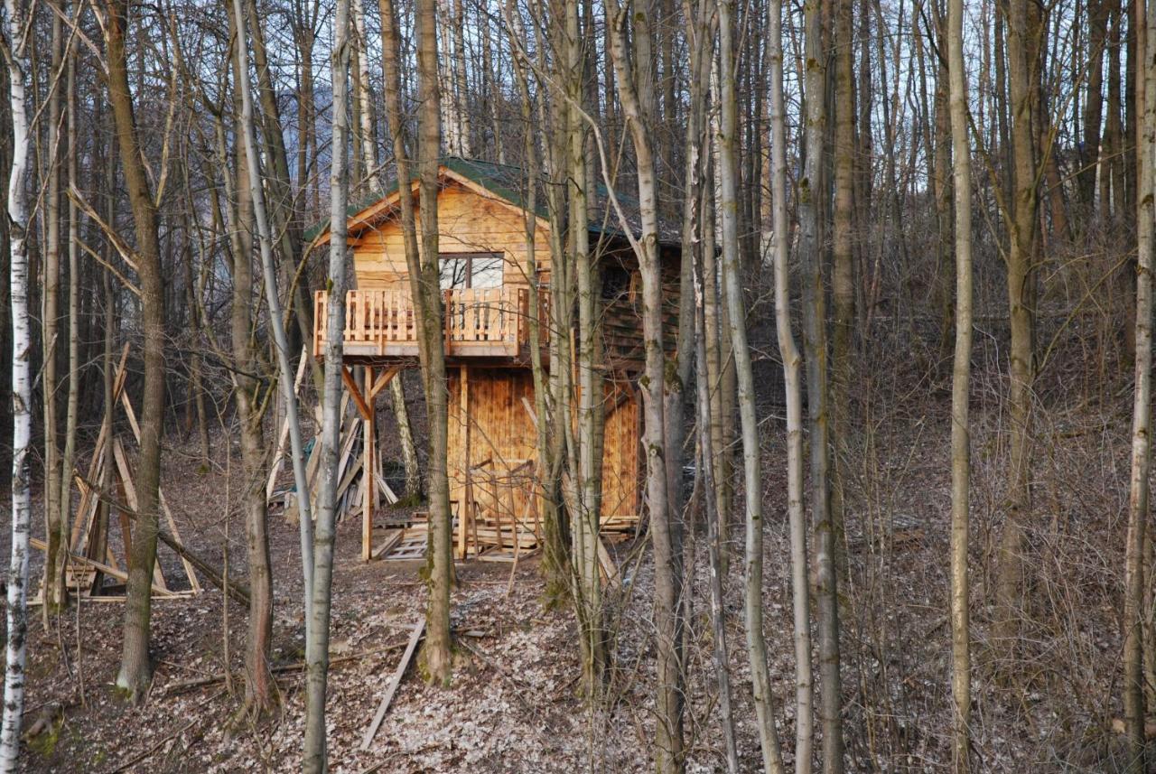 Treehouse Велке Лосины Экстерьер фото