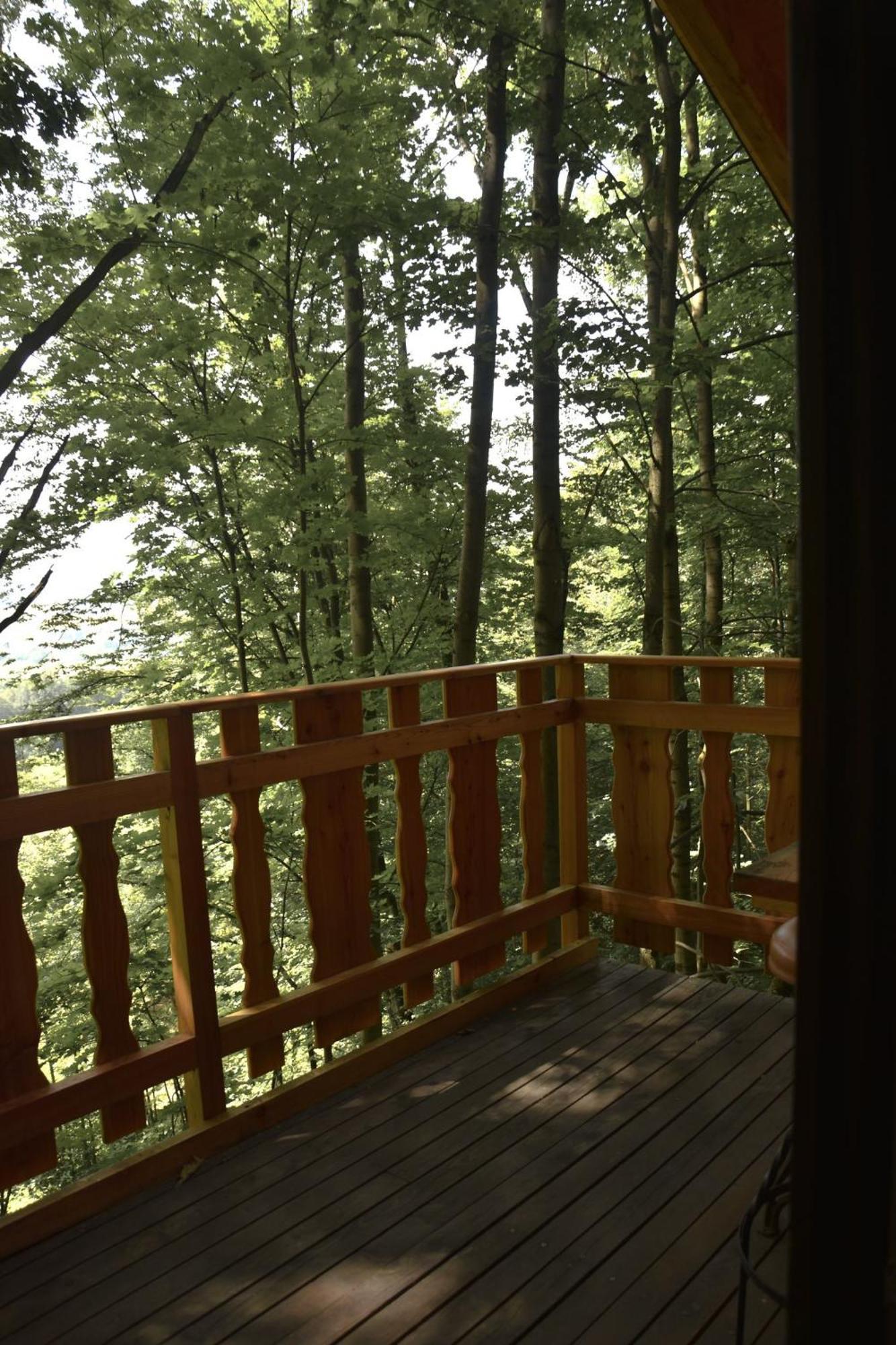 Treehouse Велке Лосины Экстерьер фото