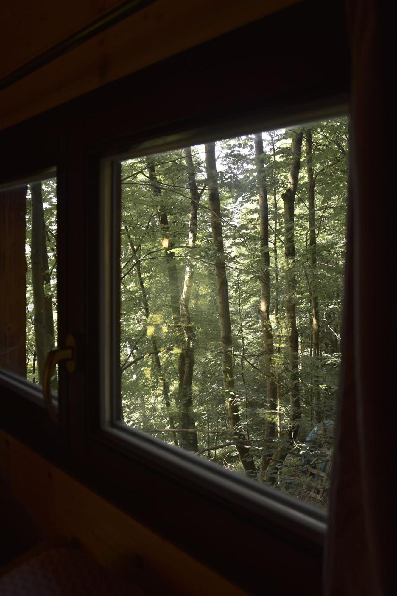 Treehouse Велке Лосины Экстерьер фото
